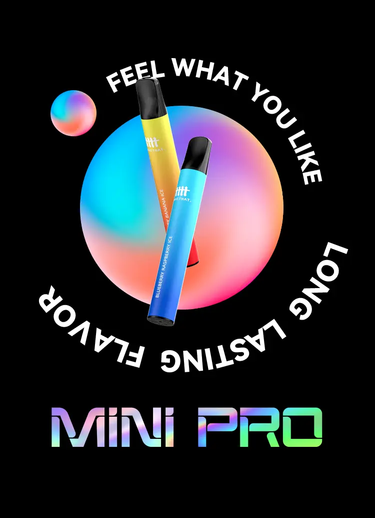 mini-pro-01